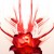 Giena_