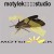 Motylek-Studio