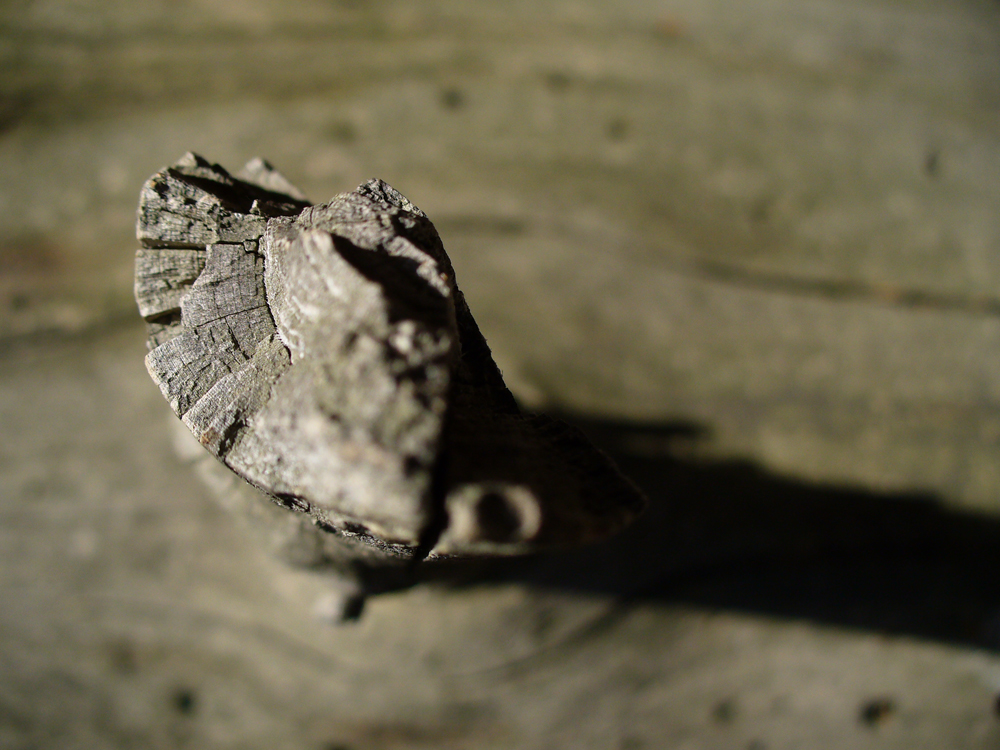 Без комментариев