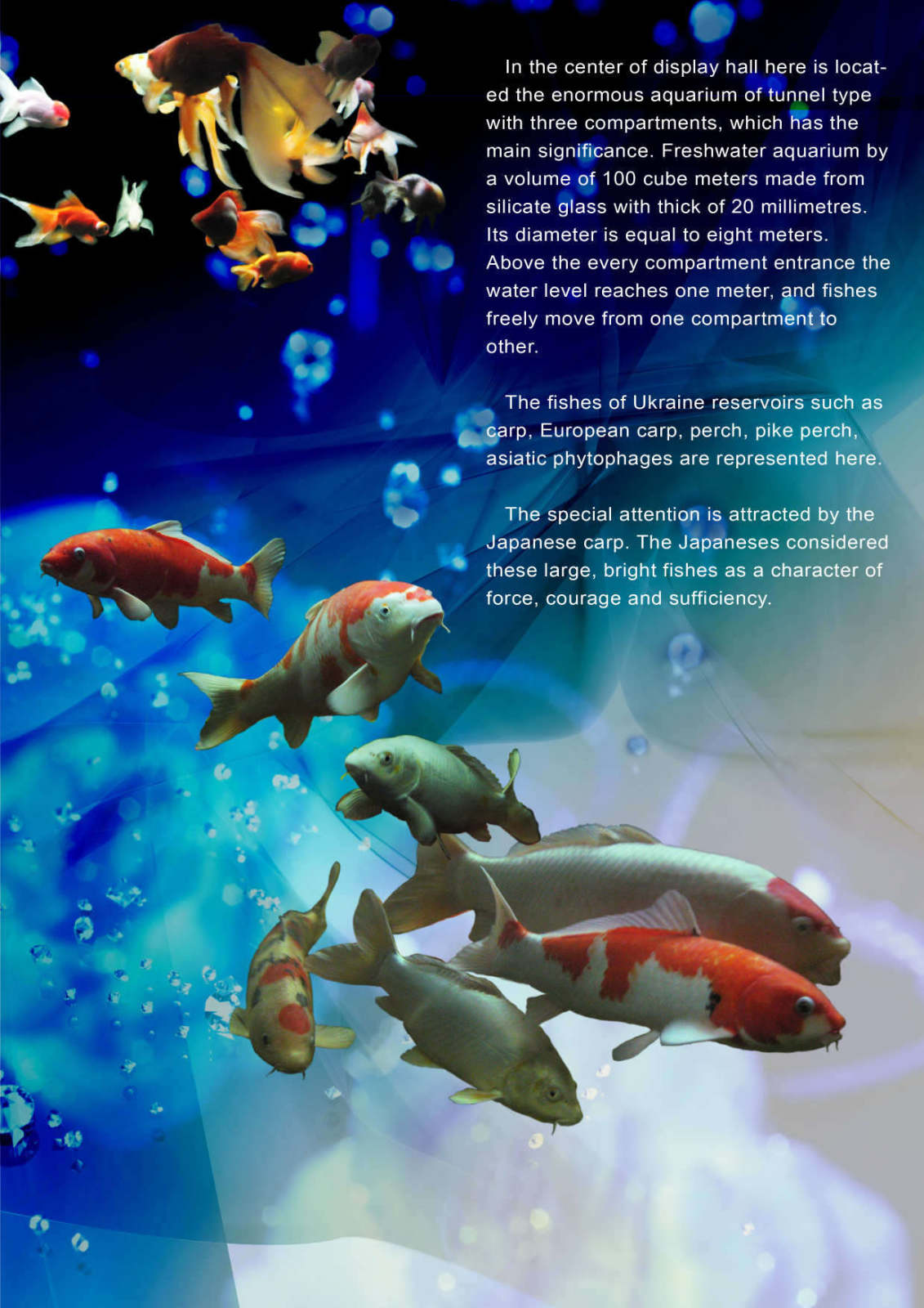 буклет стр.03