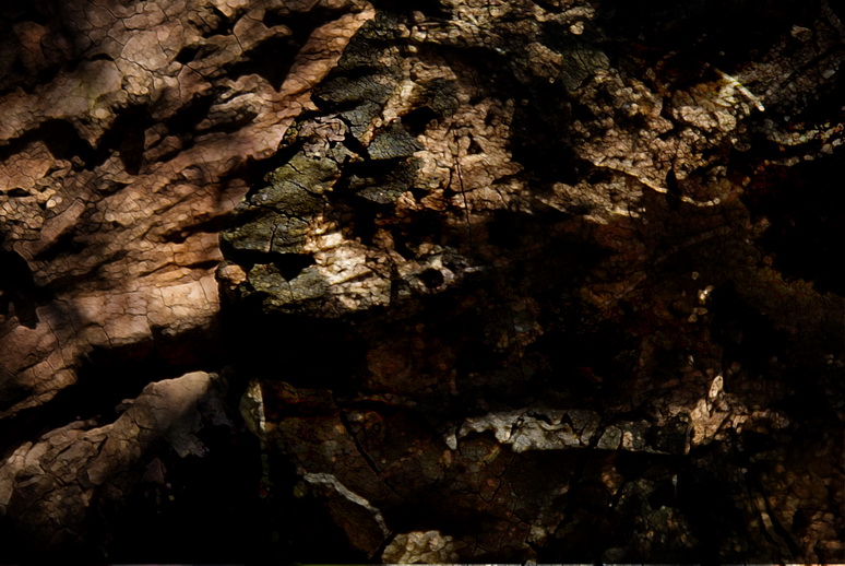 эмиссар в сновидении