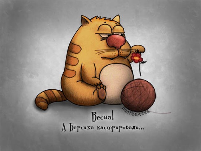 прикрепленный файл