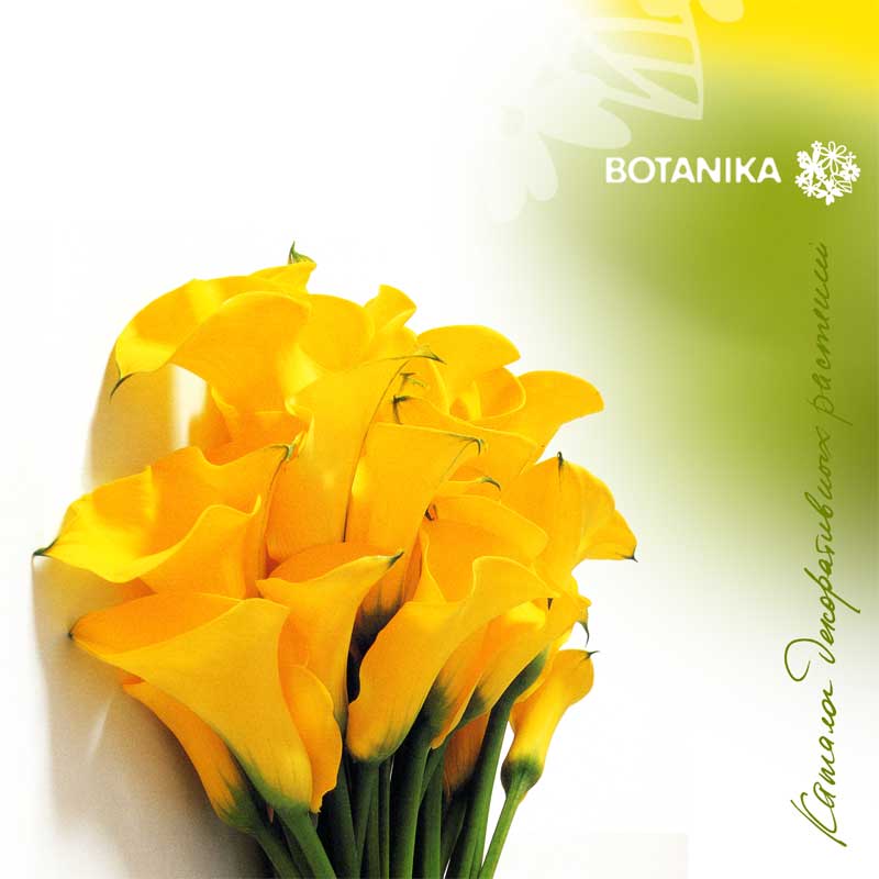 обложка буклета