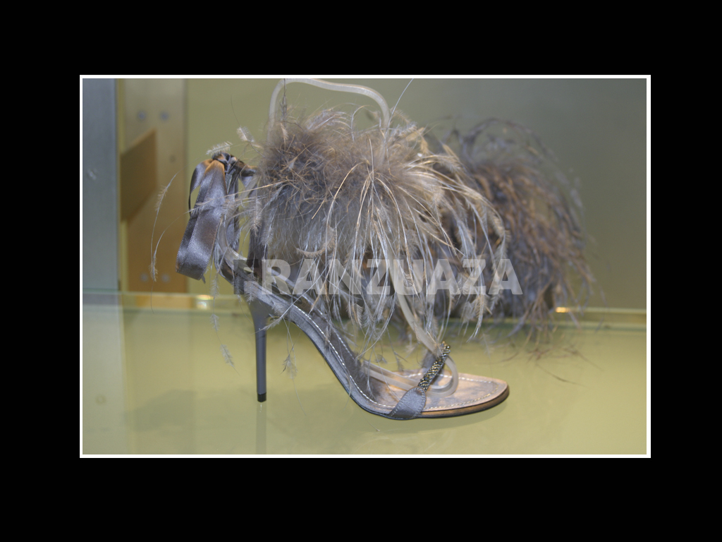 туфелька ищет свою золушку...