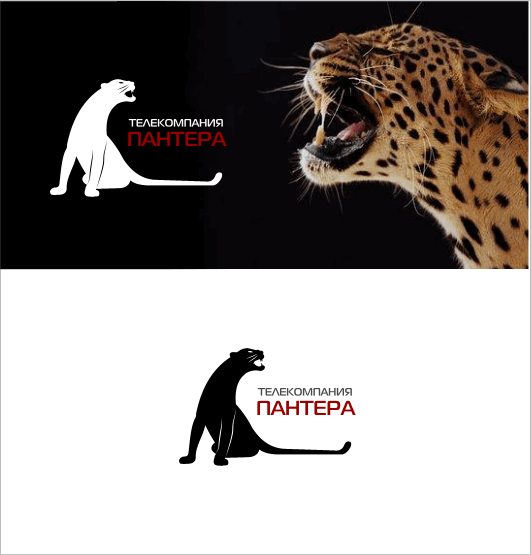 Телекомпания Пантера