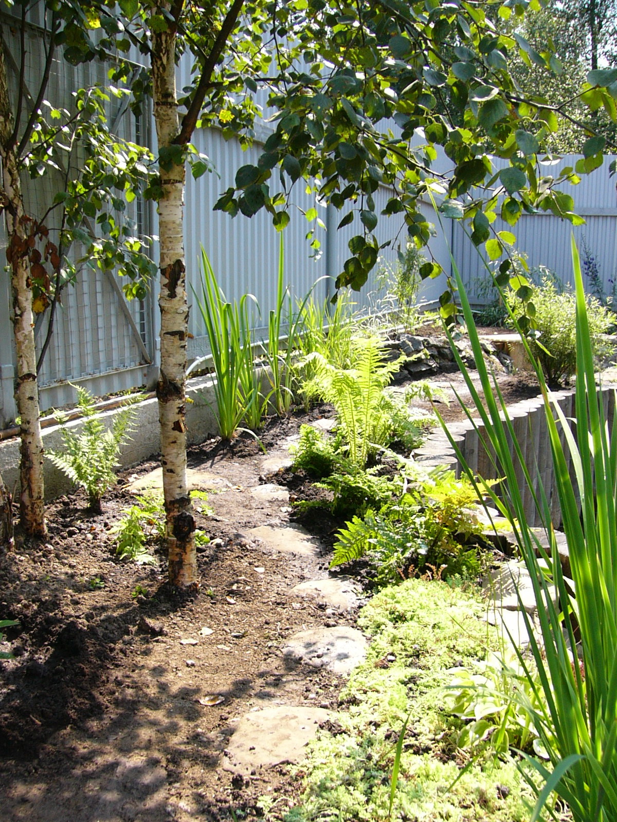 оформление прибрежной зоны водоема