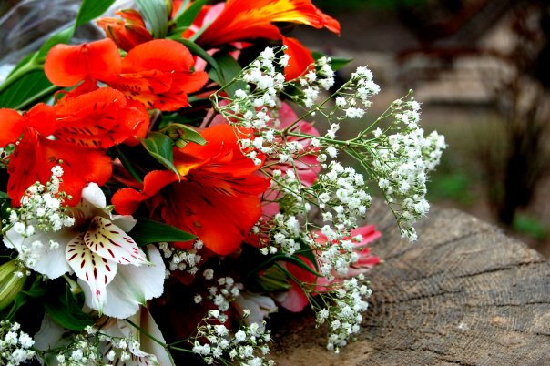 красота сложного