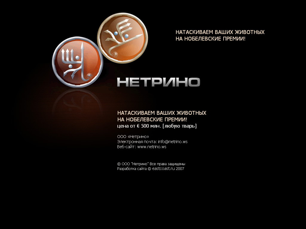 Сплэш-скрин OOO "Нетрино" [по заказу eastcoast.ru]