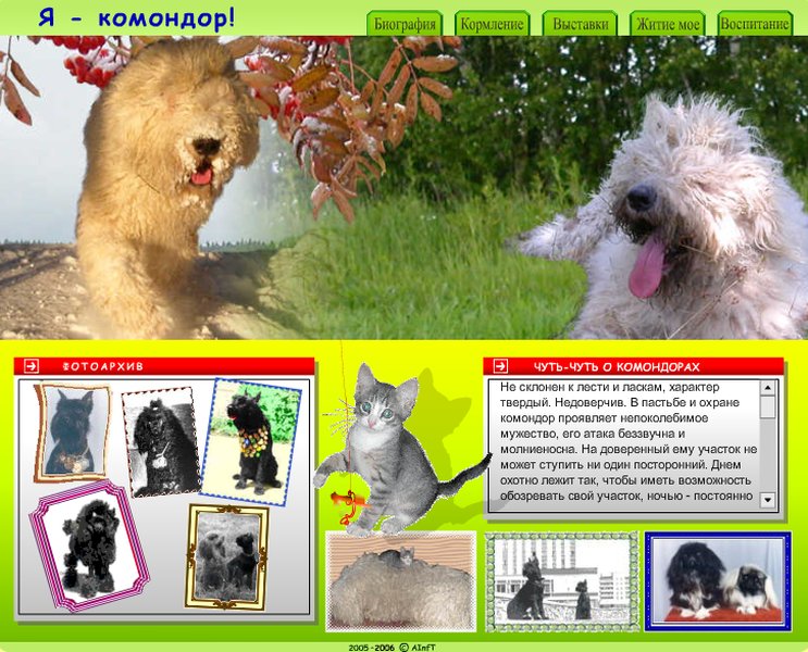 Komondor in Russia
