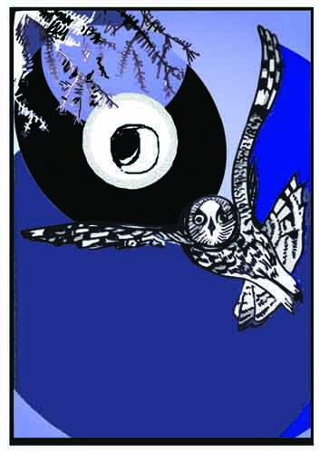 Ночной полет