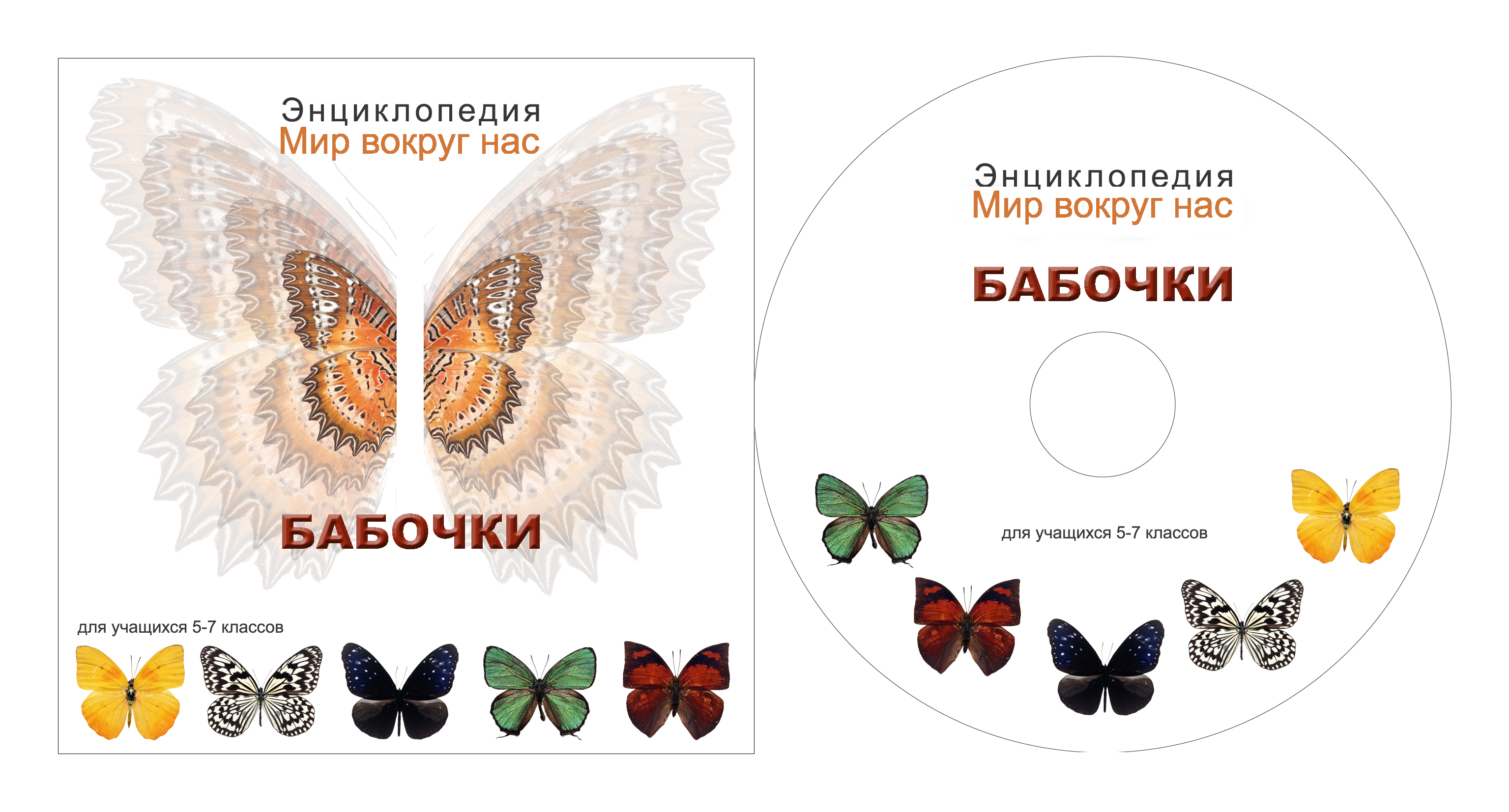 Дизайн дисков