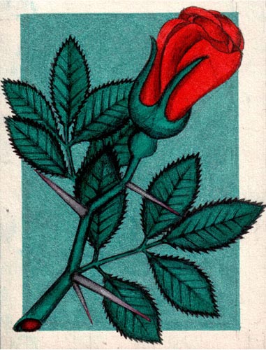 Открытка с розой