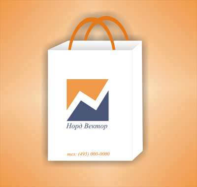 Подарочный пакет для компании "Норд Вектор"