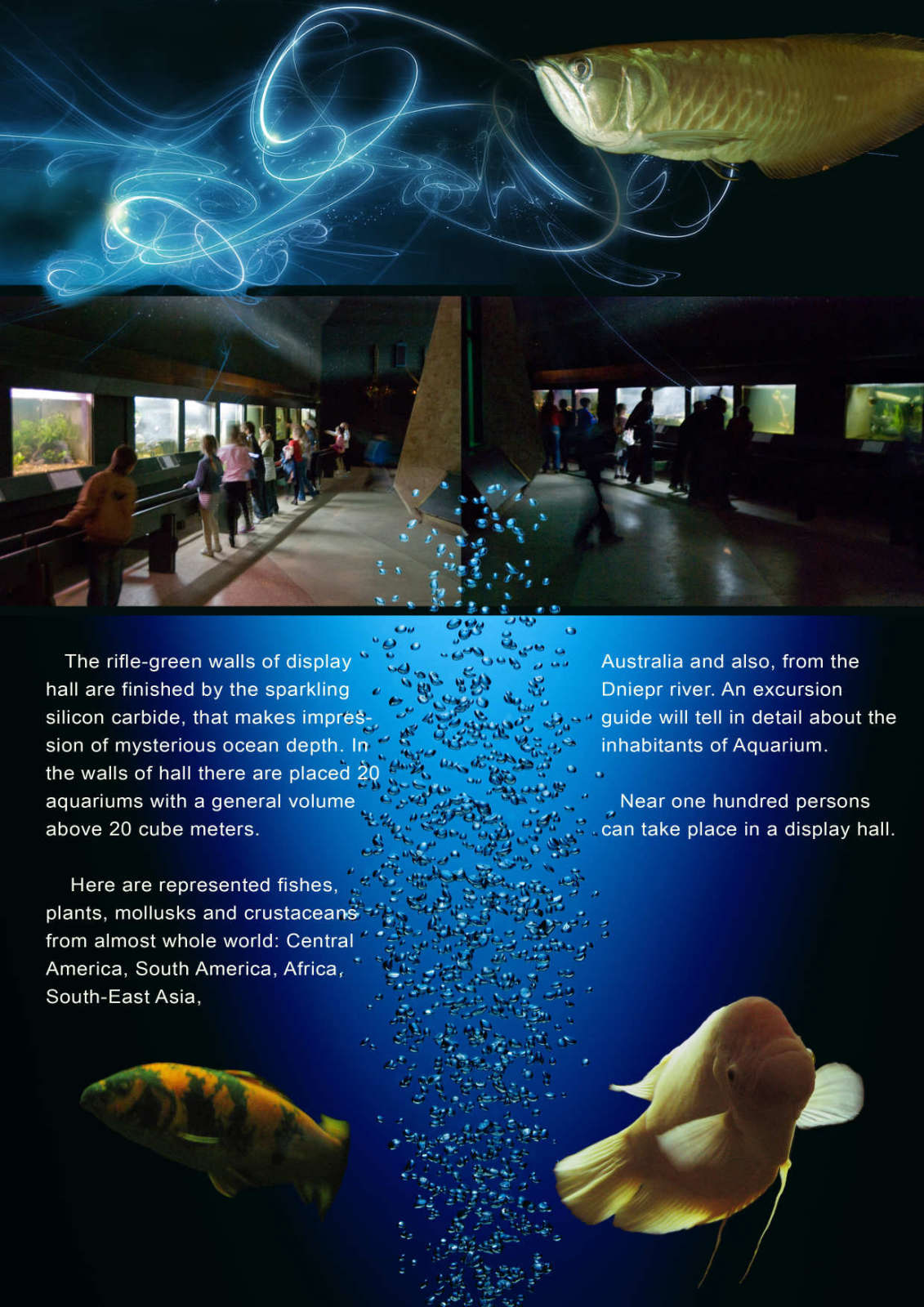 буклет стр.02