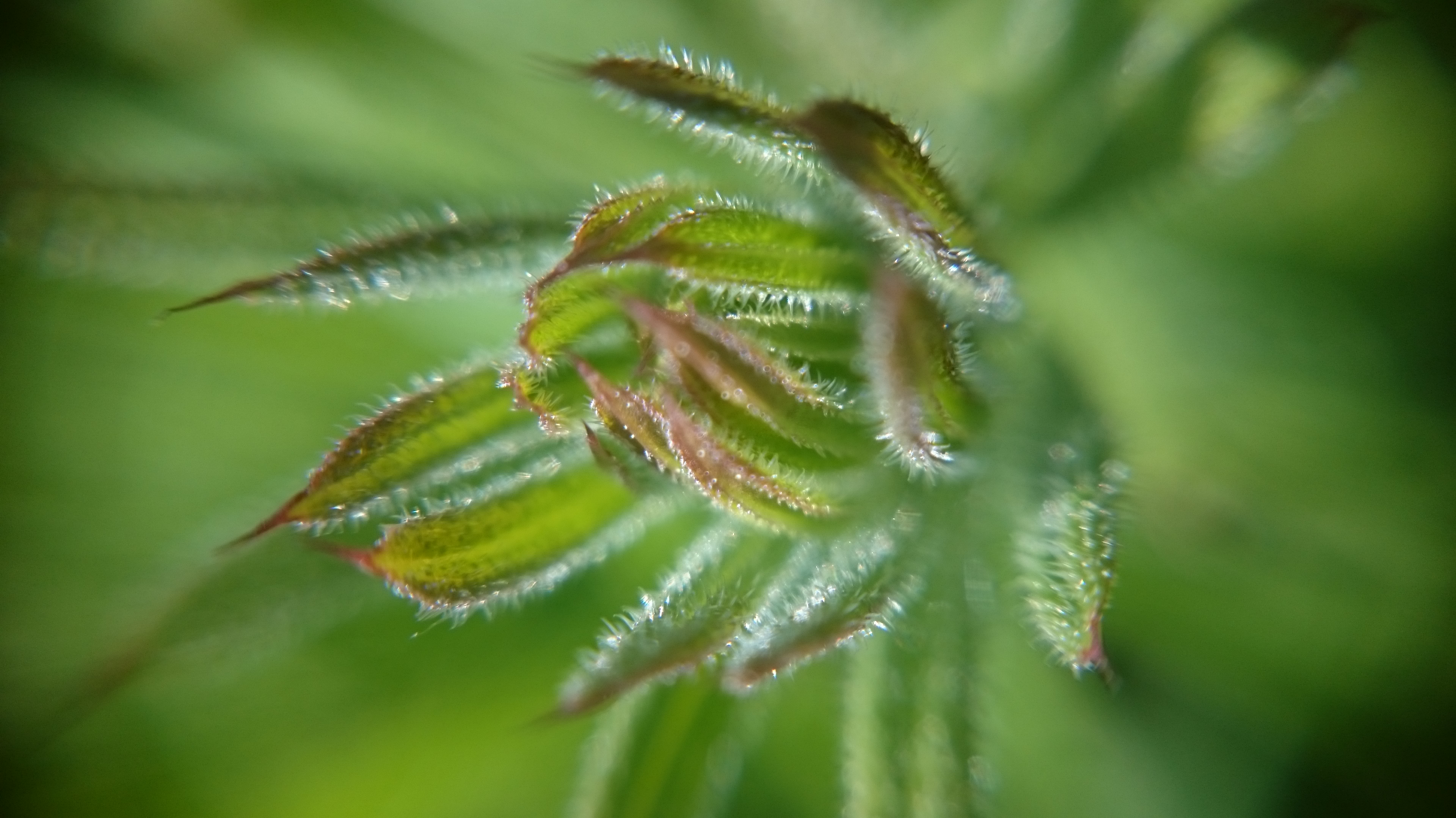 Макро. Панорама. Общее