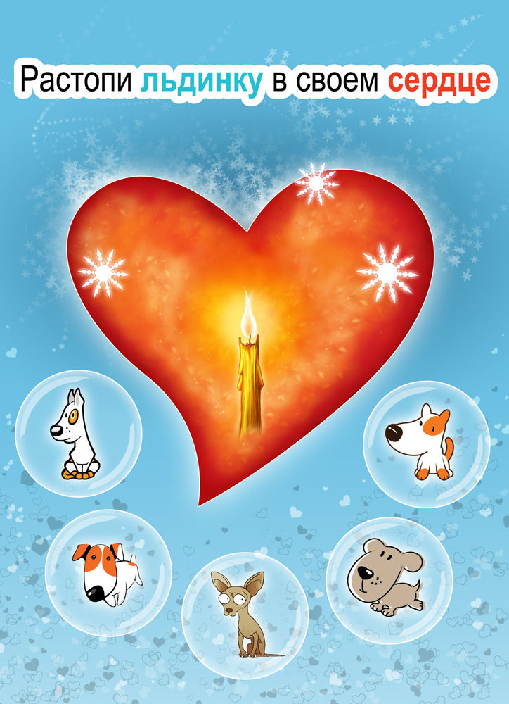 Бездомные собаки