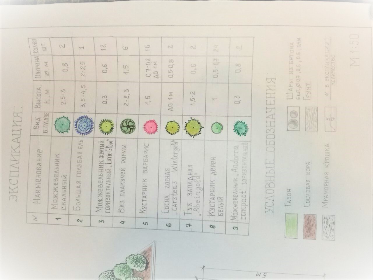 Экспликация