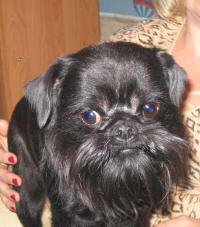 прикрепленный файл