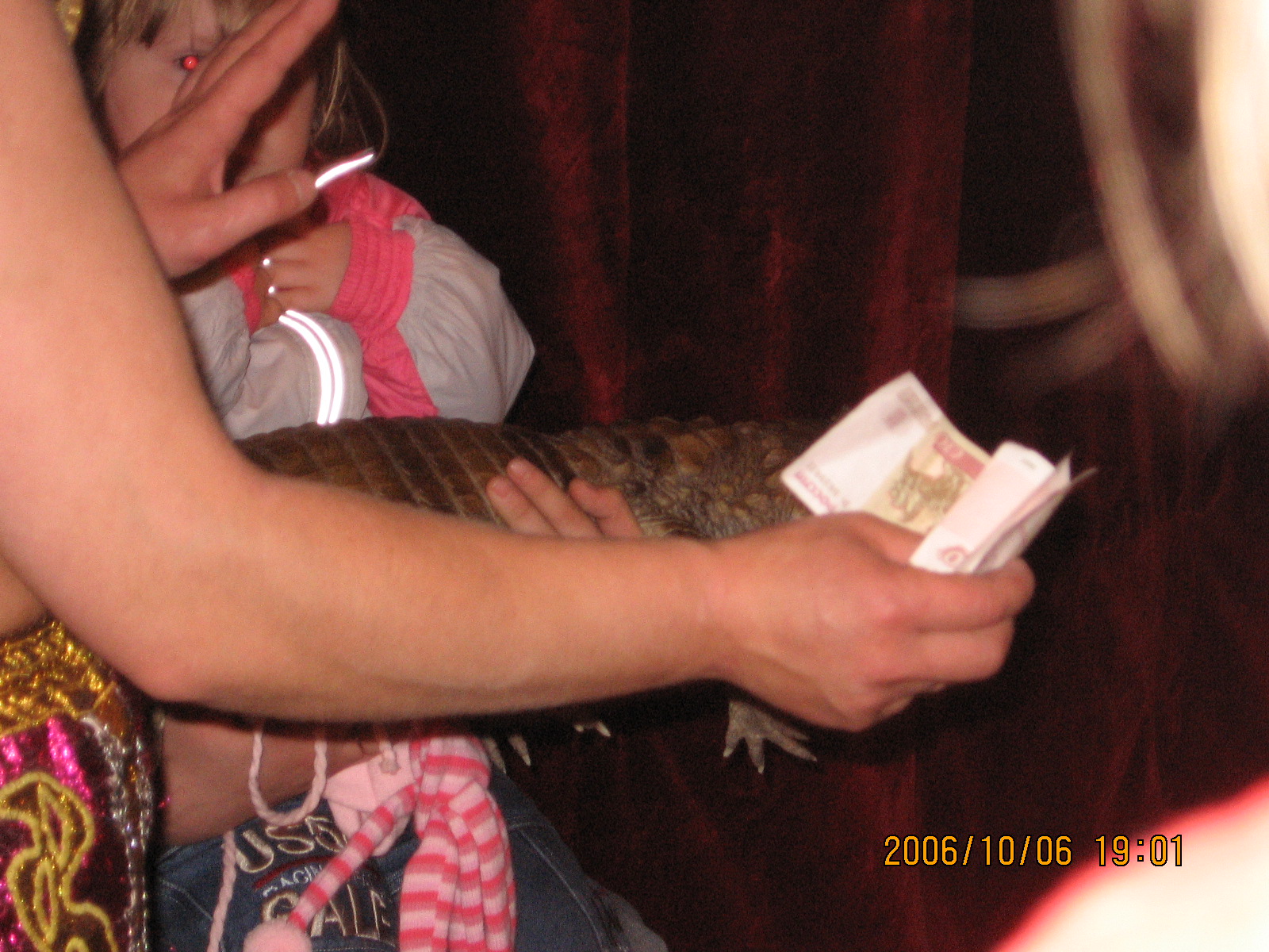 Отдам крокодила в хорошие руки