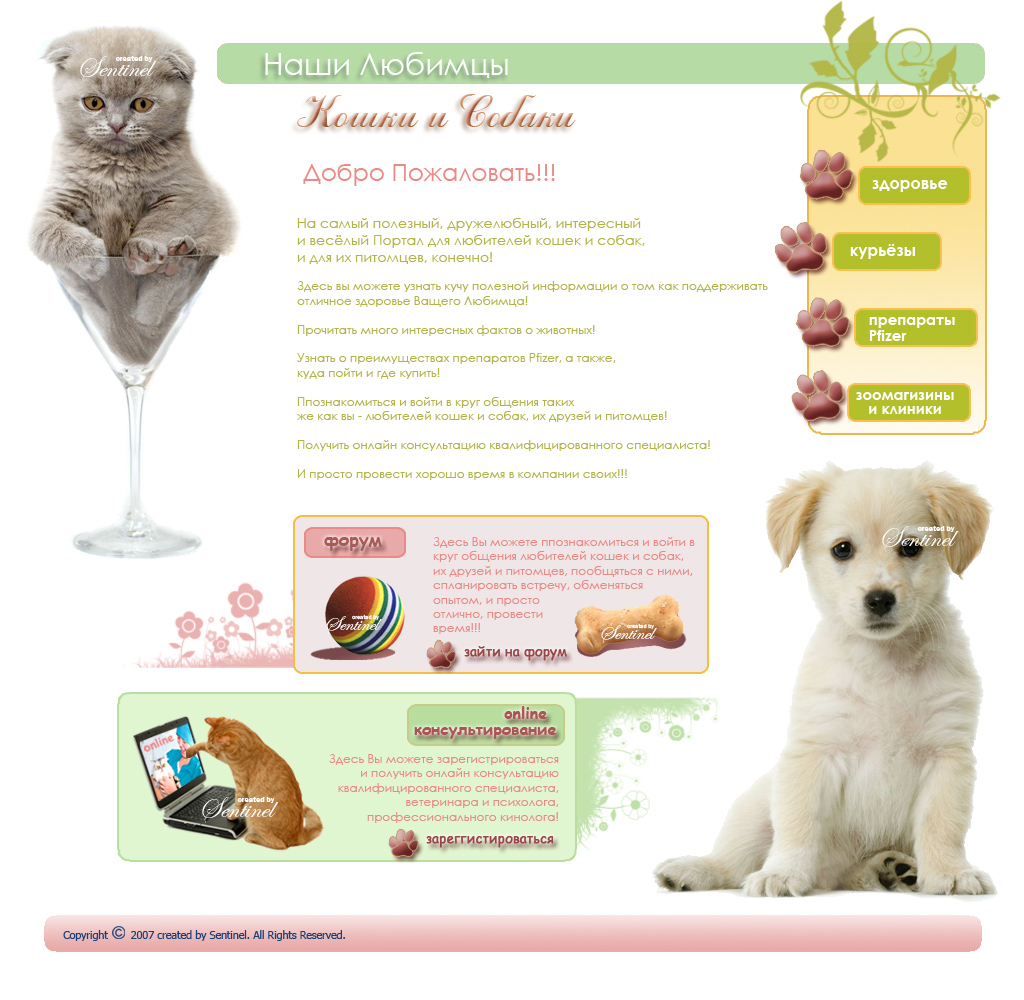 Дизайн сайта "Наши Любимцы" (про кошек и собак)
