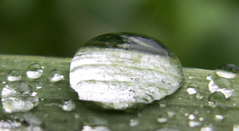 После дождя