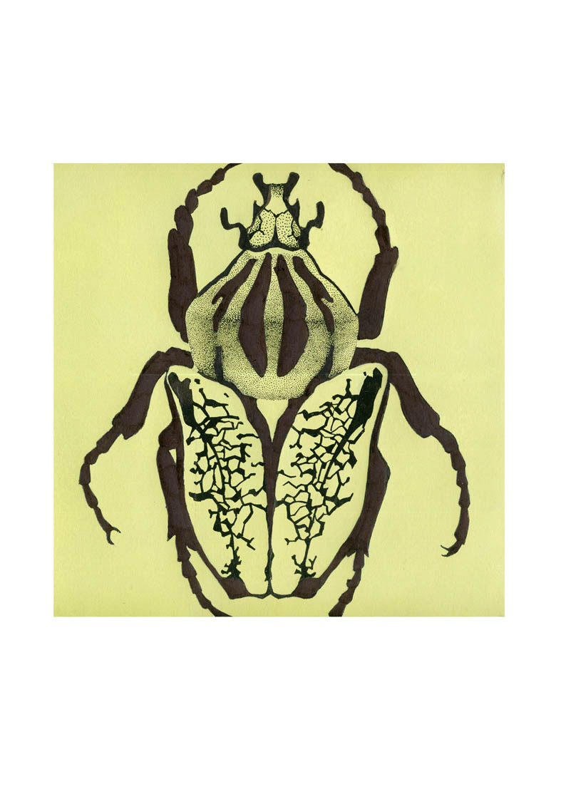 графика_серия жуки_пуантель