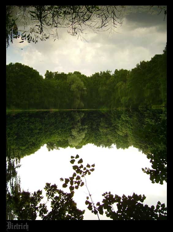 Перевернутый мир