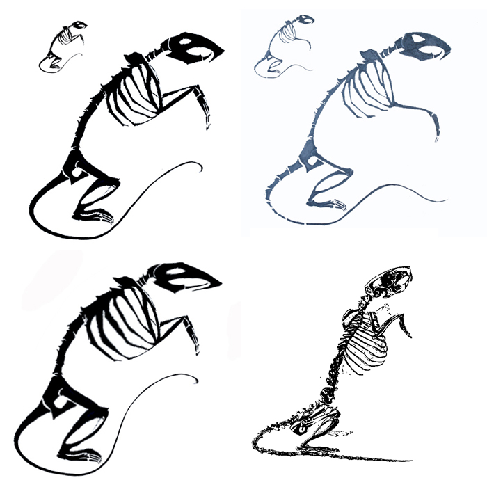 Варианты крыс для лого Immortal Rats