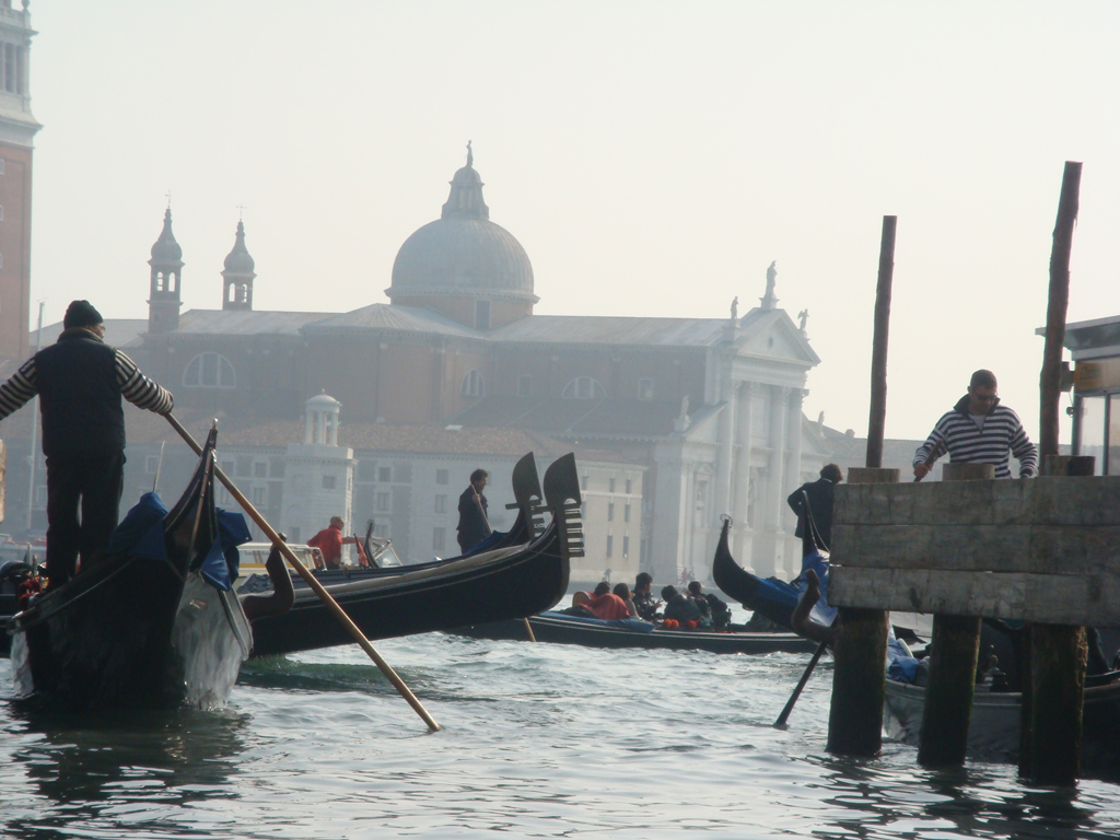 Жизнь бурлит