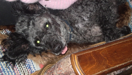 без названия