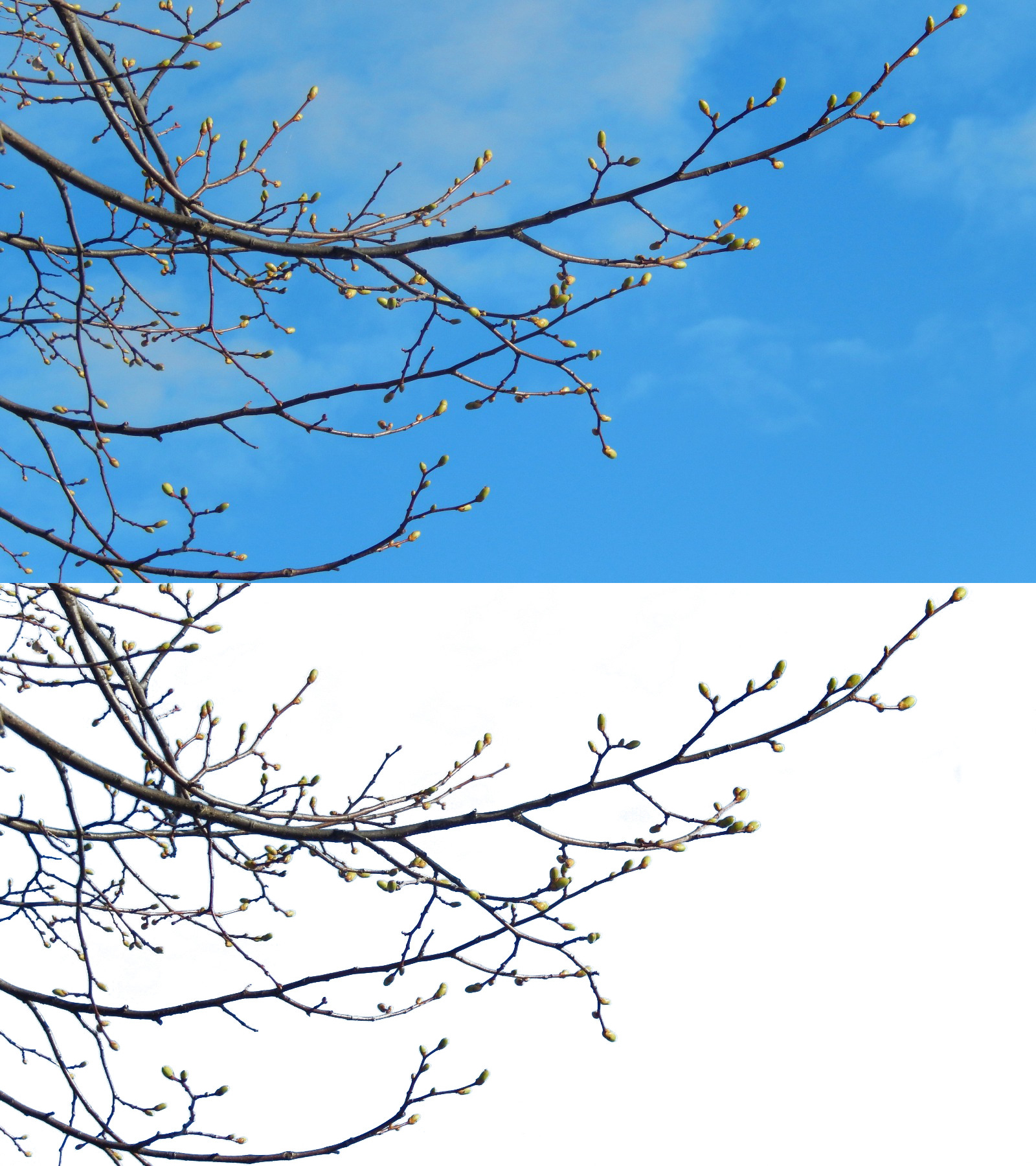 Удаление фона 3