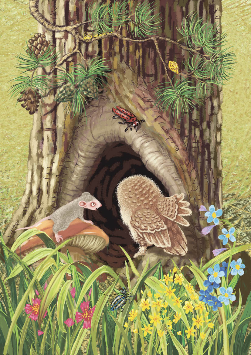 страшное дупло.