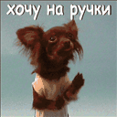 прикрепленный файл