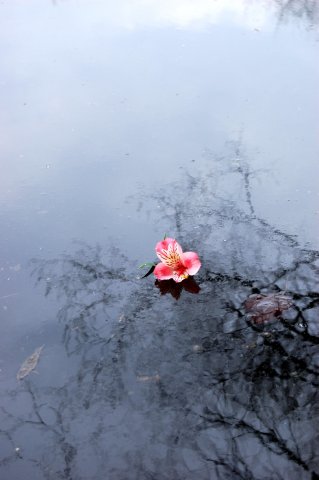 плыть по течению.