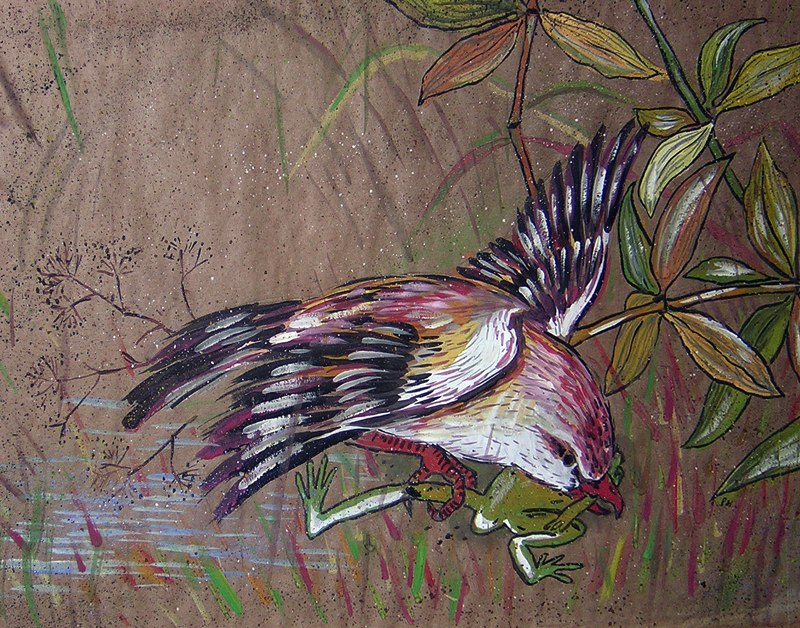 японская лягушка