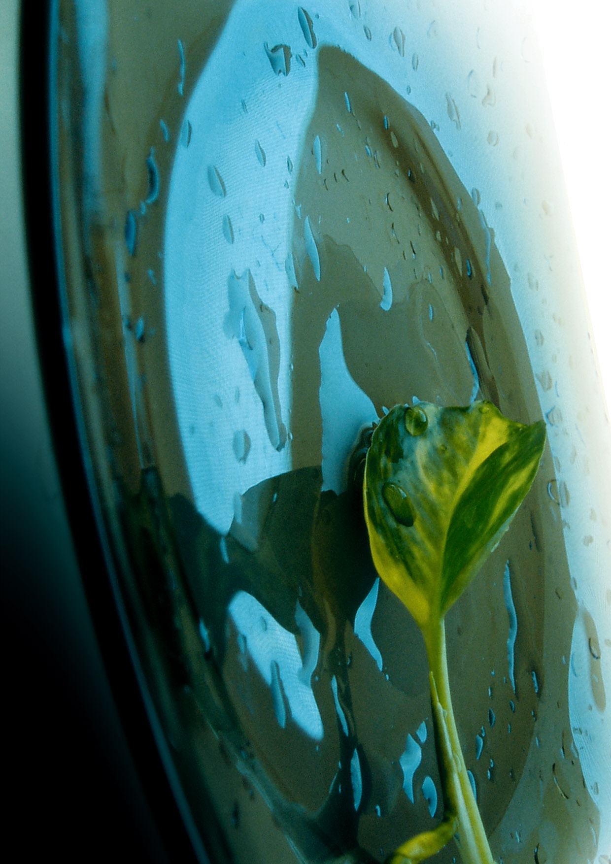 Фото для каталога "Weyergans"