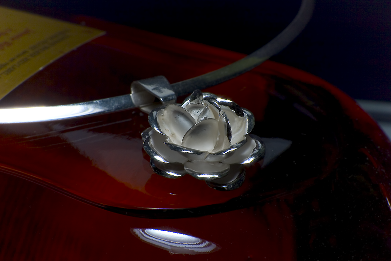 Фотосессия «Silver-peru»