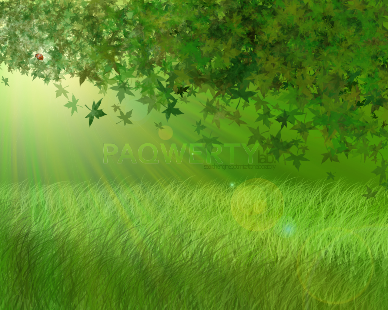 Солнечная поляна