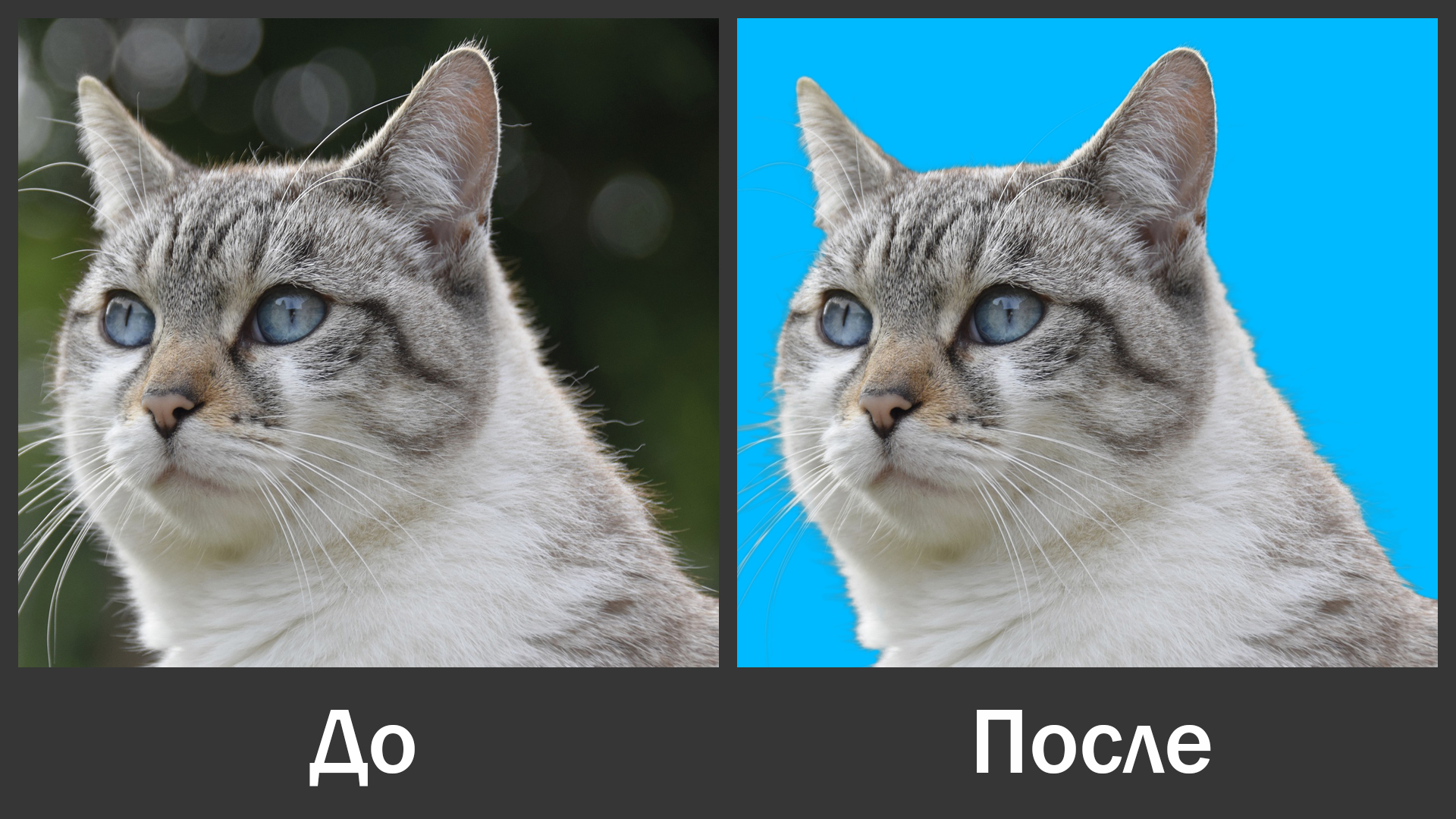 Вырезание объекта