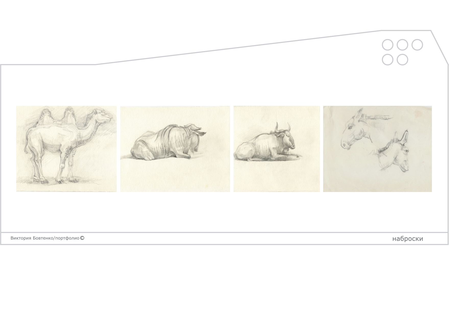 Наброски животных