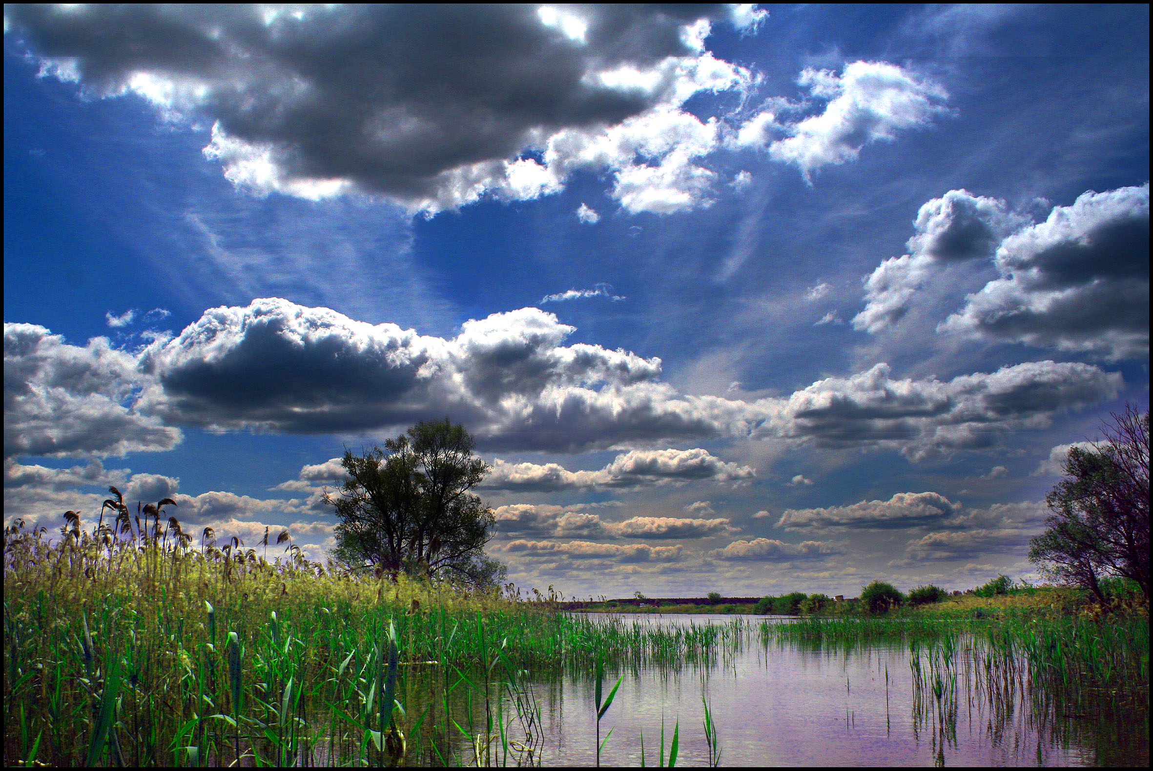 и не только потртеты