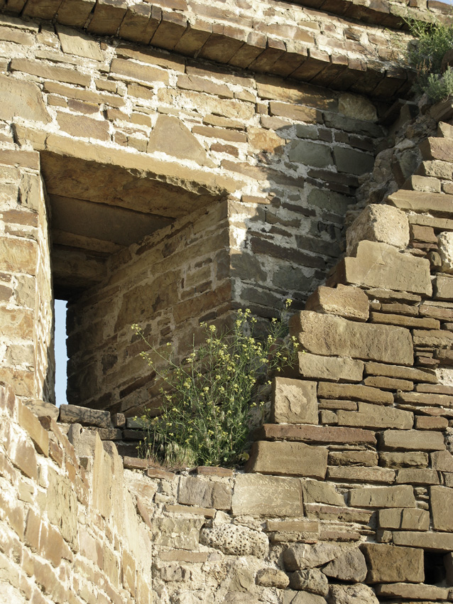 Фото. Природа Крыма.