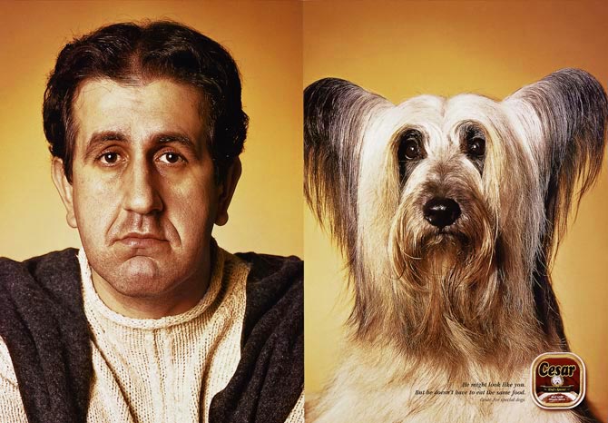 прикрепленный файл