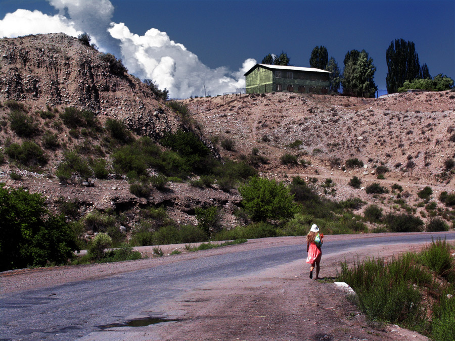 дом на холме