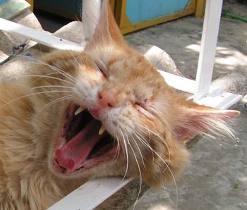 прикрепленный файл