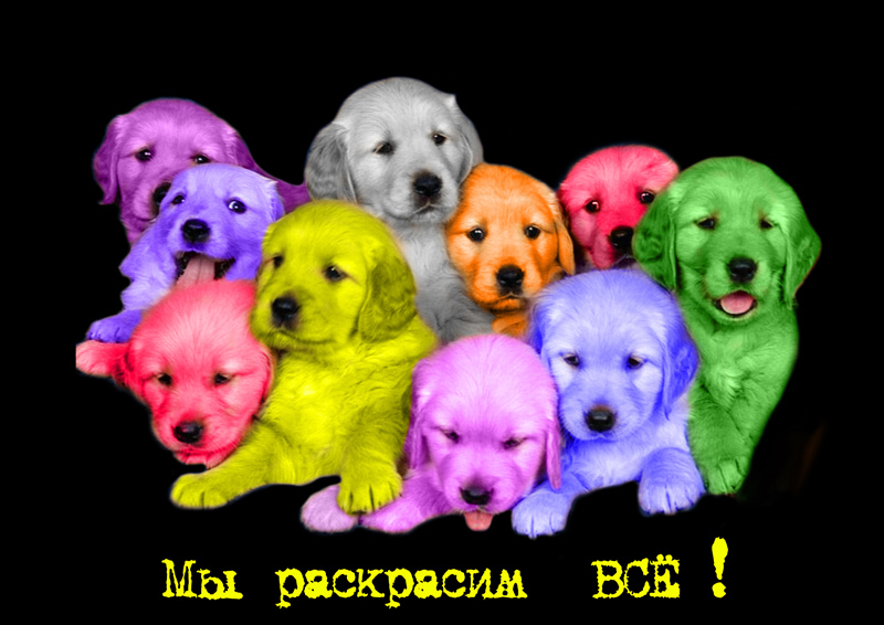 Плака А3, полиграфический центр