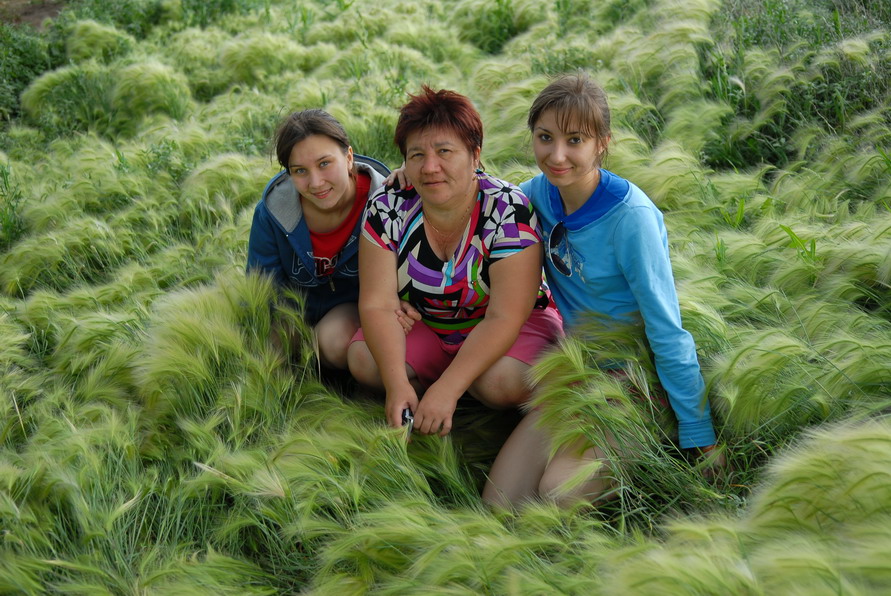 Ковыль и мы