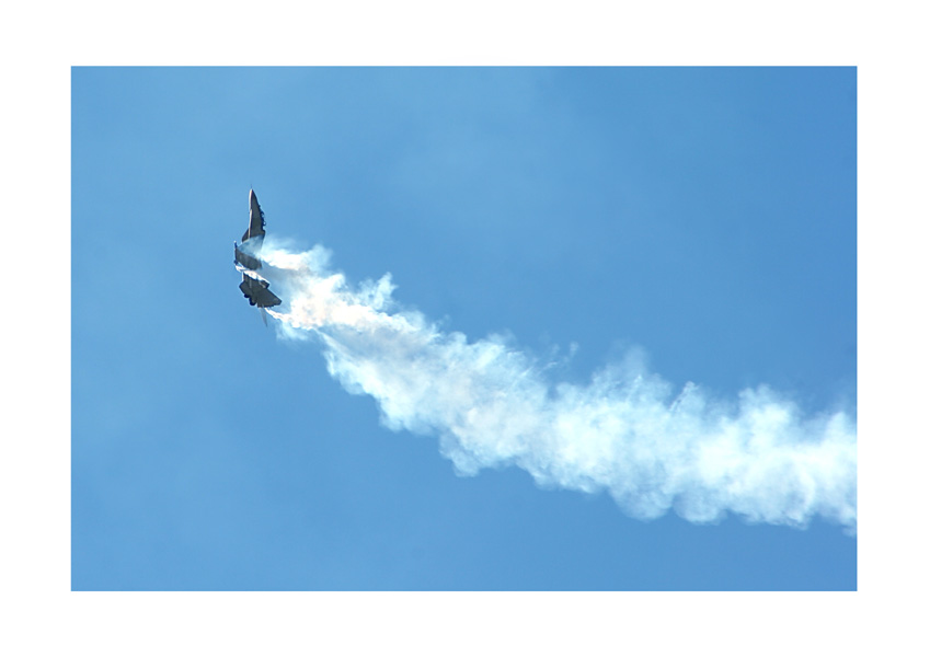 Кобра Пугачева