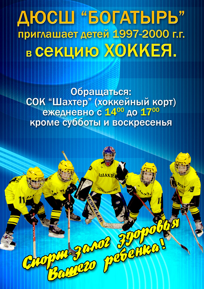 Секция хоккея