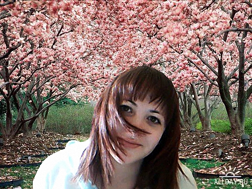 Фотомонтаж